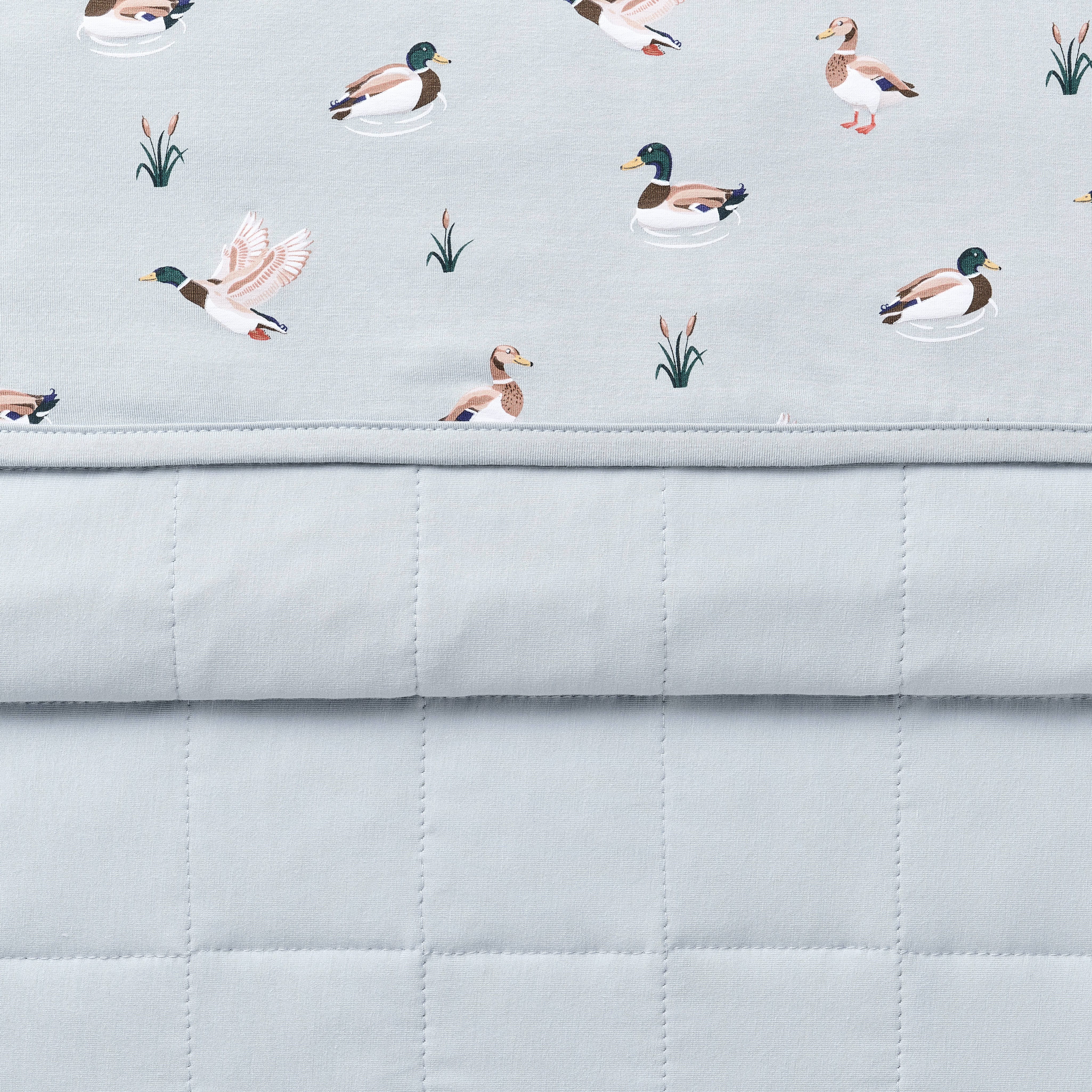 Baby Blanket in Mallard Duck 1.0