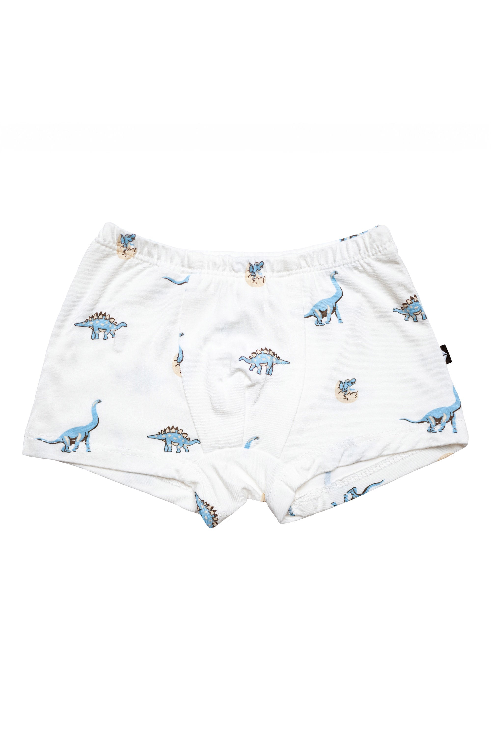 Briefs in Jurassic