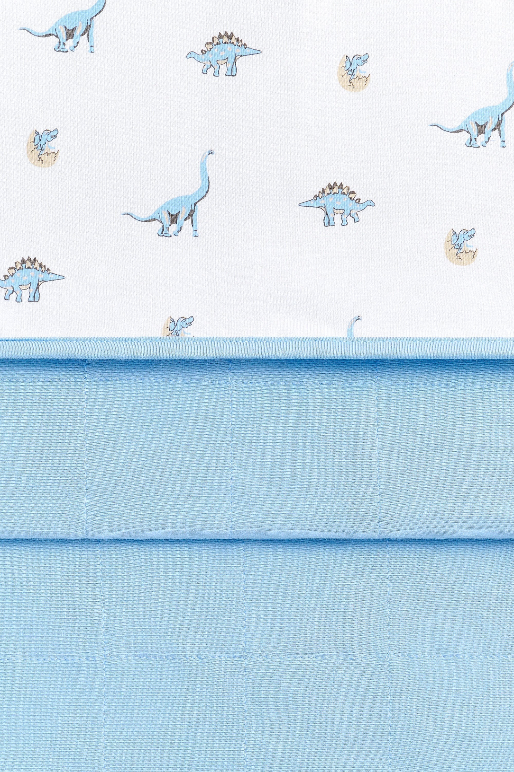 Youth Blanket in Jurassic 1.0