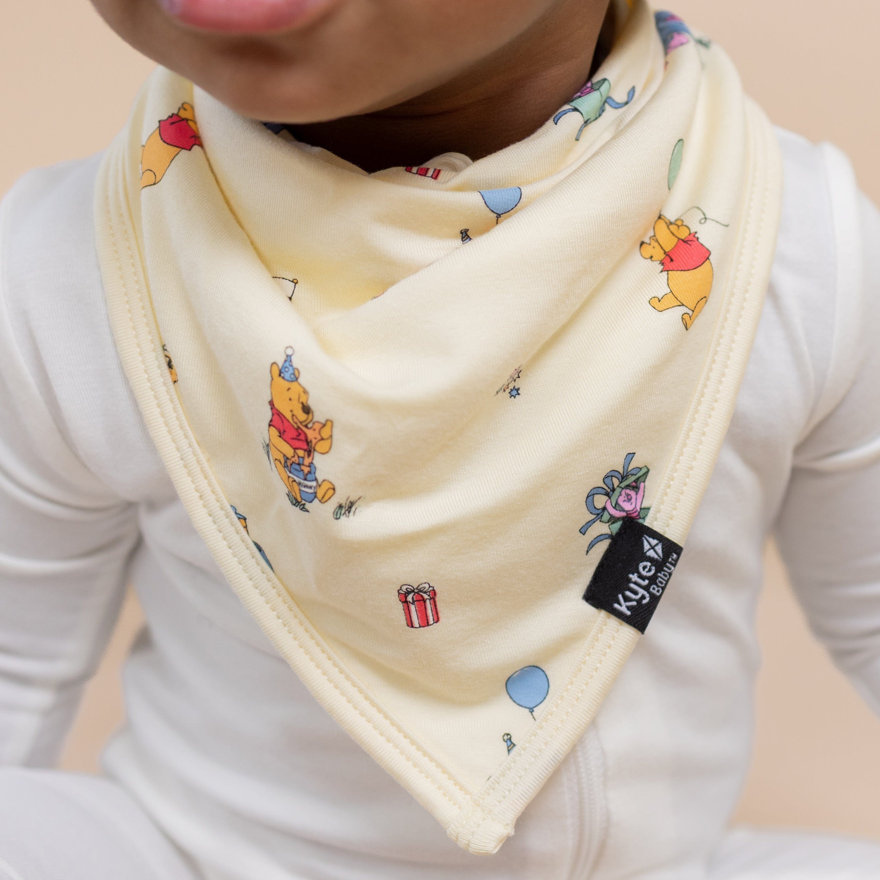 Bib in Winnie the Pooh Celebration