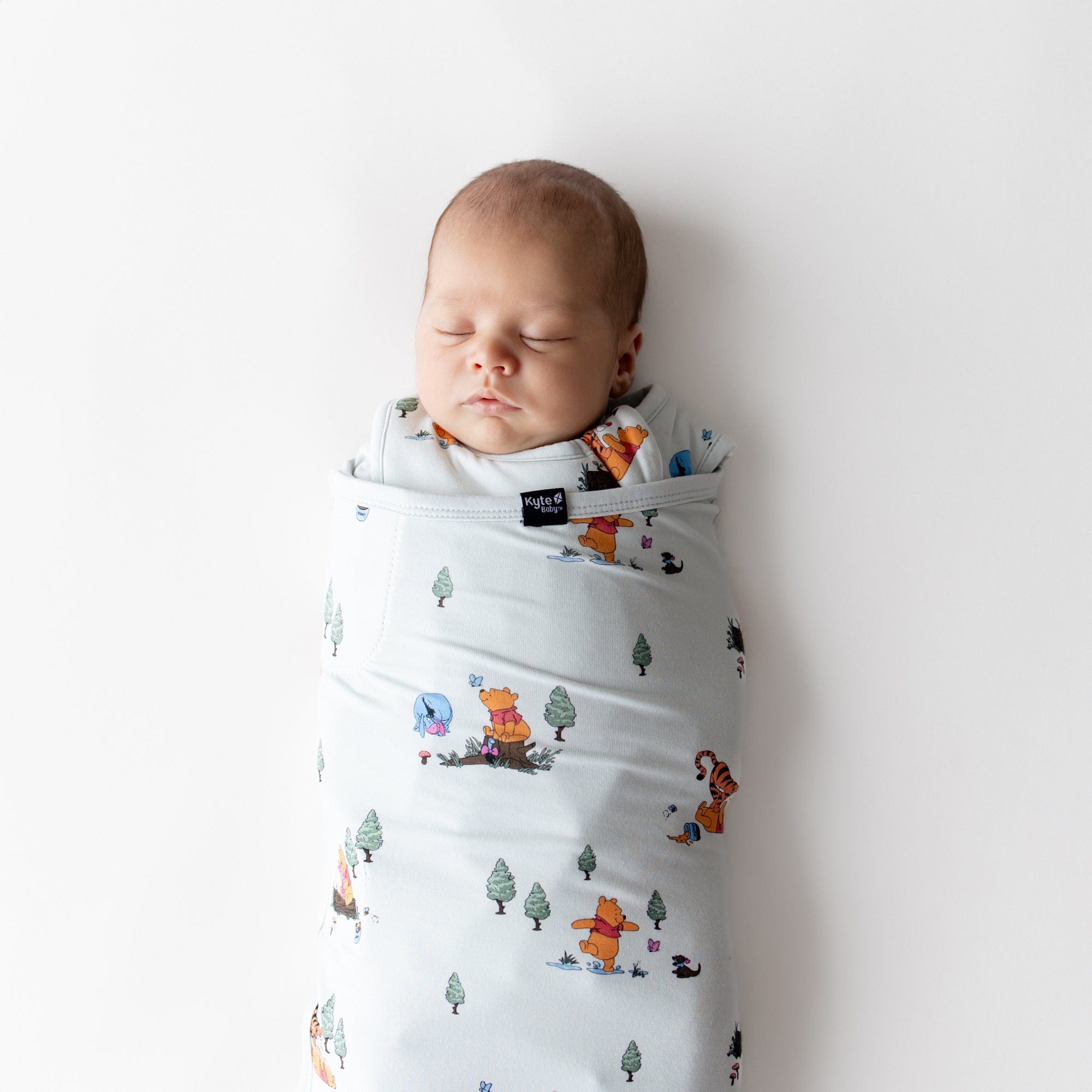 Sleep Bag Swaddler in Winnie the Pooh Hundred Acre Wood 1.0