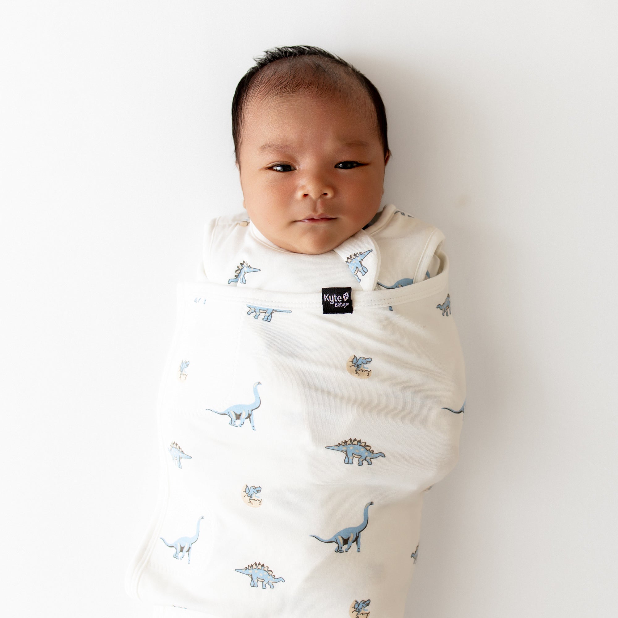 Sleep Bag Swaddler in Jurassic 1.0