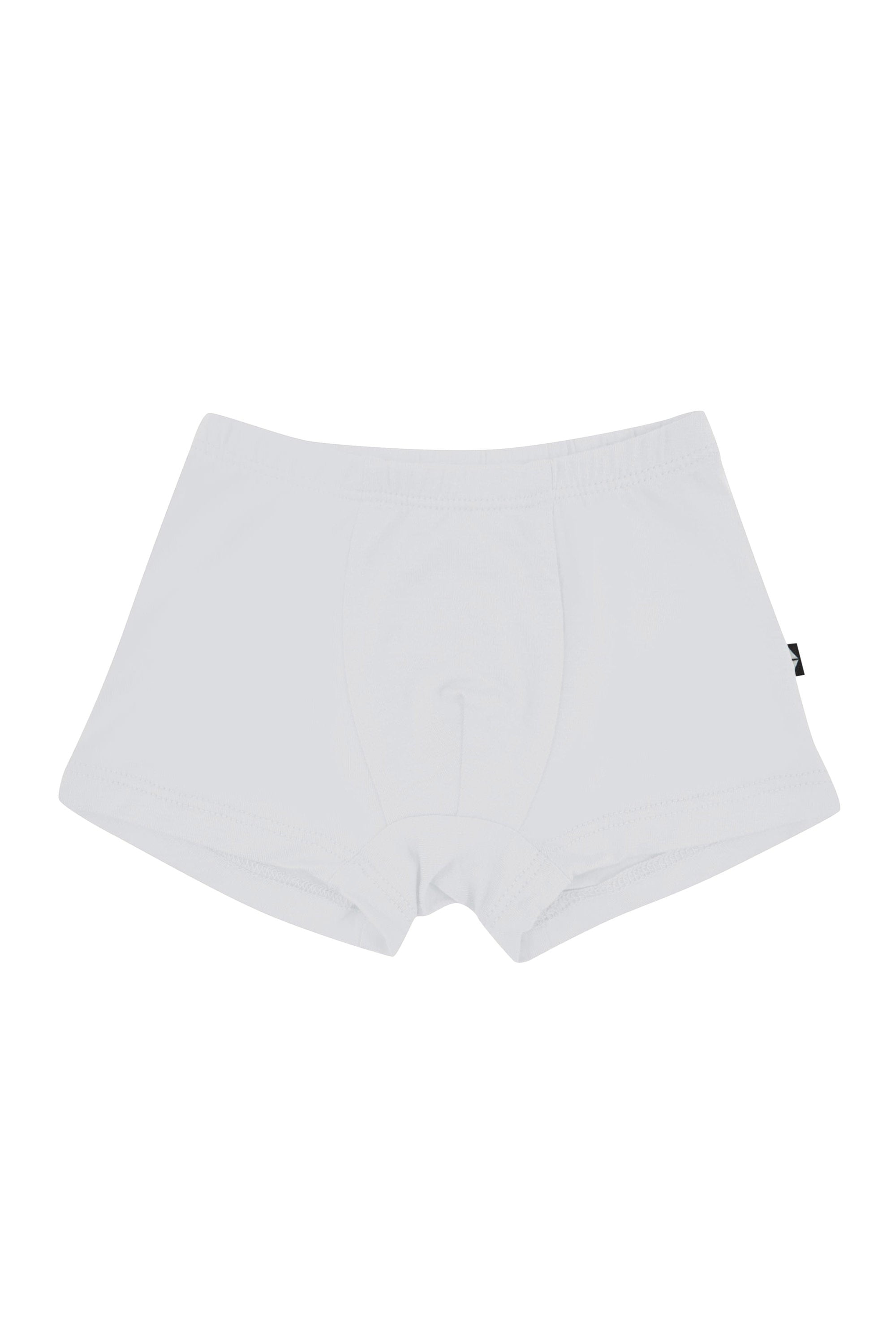 Briefs in Storm