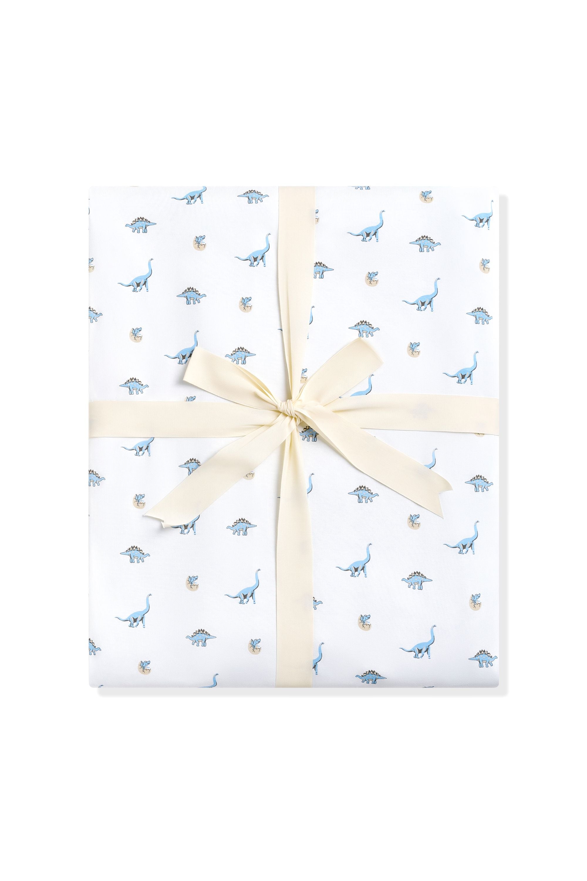 Youth Blanket in Jurassic 1.0
