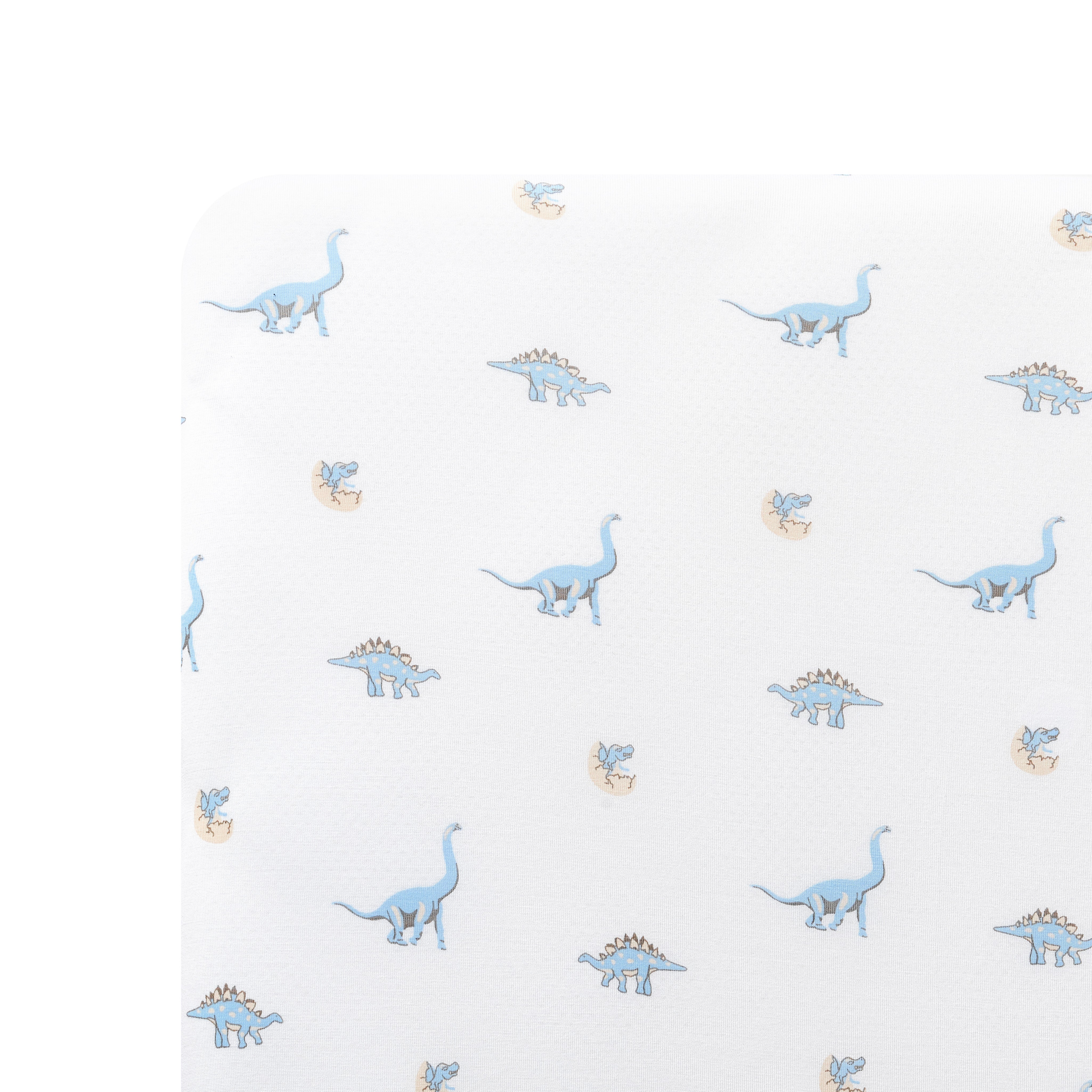 Twin Sheet in Jurassic