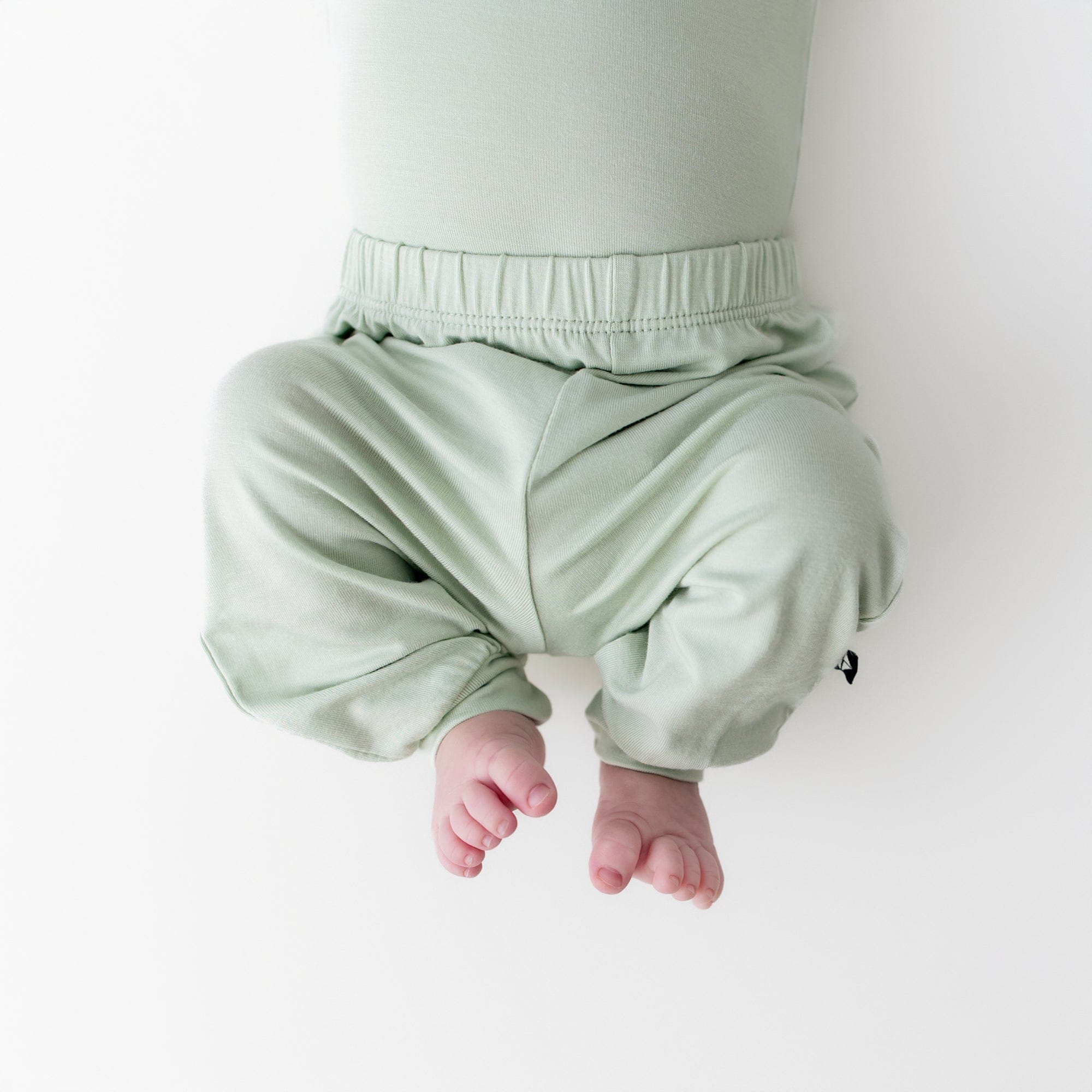 Pant in Basil