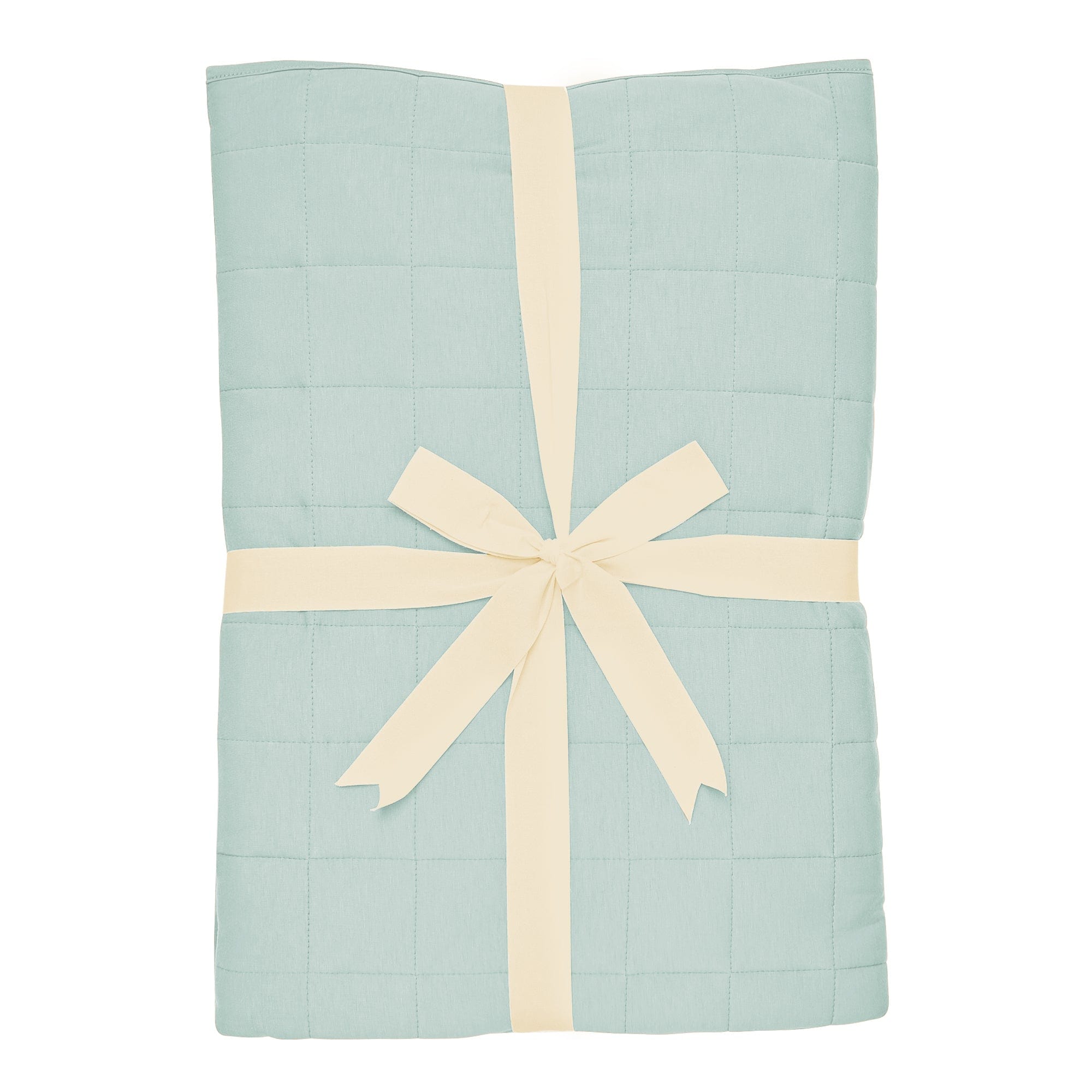 Youth Blanket in Sage 1.0